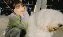 爆料娱乐圈虞书欣是谁啊,揭秘爆红新星背后的故事